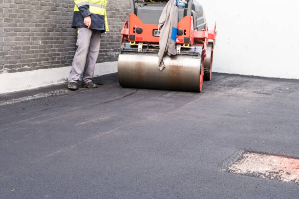 Best Driveway Grading and Leveling  in Bella Vista, AR